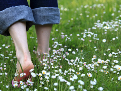 Capture d'écran 2025-08-28 162339